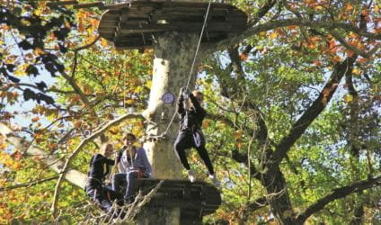 Arrampicarsi sugli alberi e saltare